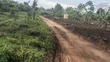 300 Acres Farmland for Sale in Kayunga Balla - 3