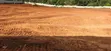 Hillview Plots for Sale in Seguku Prayer Mountain - 3