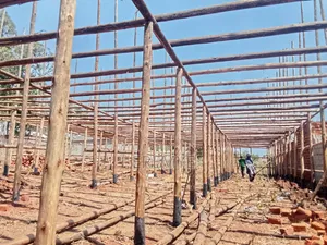 Poultry Structure for 10,000 Birds