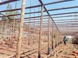 Poultry Structure for 10,000 Birds - 2