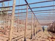 Poultry Structure for 10,000 Birds - 3