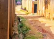 Furnished 3-Bedroom Bungalow in Kirinya, Wakiso for Sale - 2