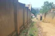 Furnished 3-Bedroom Bungalow in Kirinya, Wakiso for Sale - 3