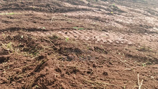 2 Acres for Sale in Kyabakade via Gayaza Road - 1