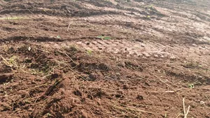 2 Acres for Sale in Kyabakade via Gayaza Road