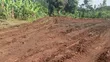 2 Acres for Sale in Kyabakade via Gayaza Road - 4
