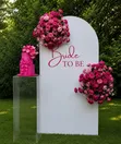 Bridal Shower Decorations - Negotiable Price - 2