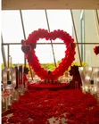 Bridal Shower Decorations - Negotiable Price - 4