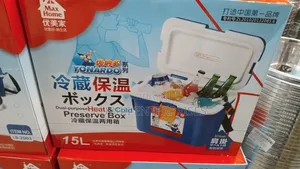 Yonardo 15L Insulated Cooler Box