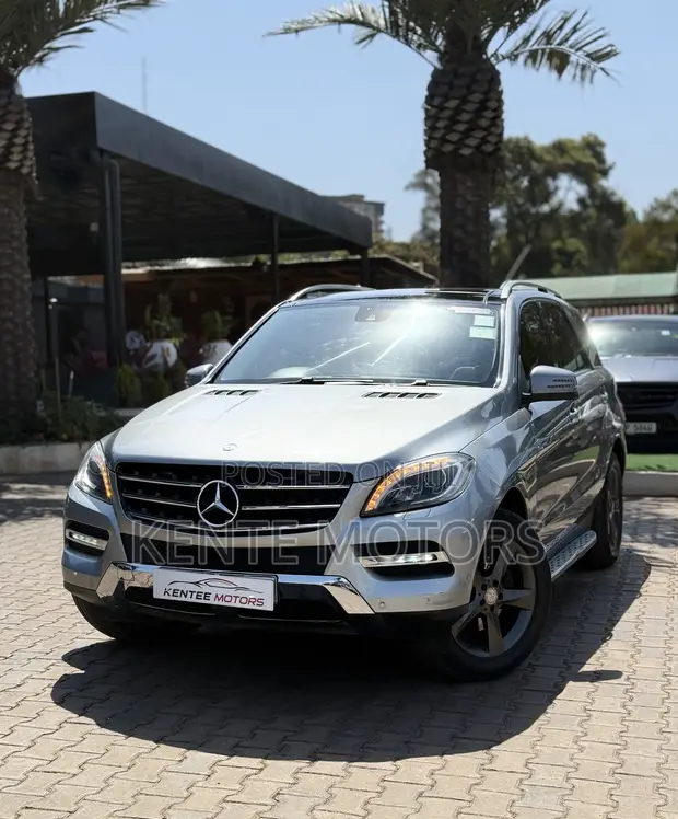 Mercedes-Benz M Class 2015 Gray - 1