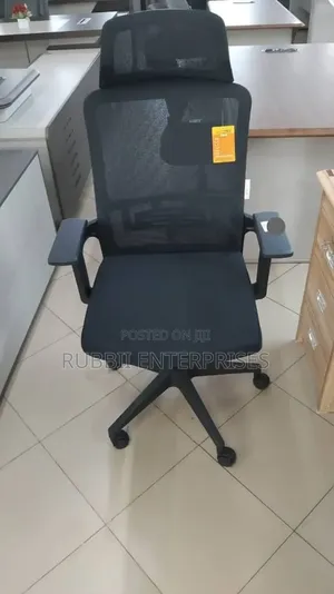 Executive Office Chair with Arm Rests