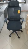 Executive Office Chair with Arm Rests - 1
