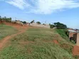 1 Acre Residential Land for Sale in Bweyogerere-Kiwanga - 4