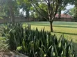4 Bedroom Bungalow for Sale in Nangabo - 2