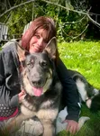 Male Purebred German Shepherd, 6-12 Months - 1