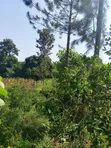 Residential Plot for Sale in Kiwature, Kawempe - 2