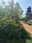 Residential Plot for Sale in Kiwature, Kawempe - 4
