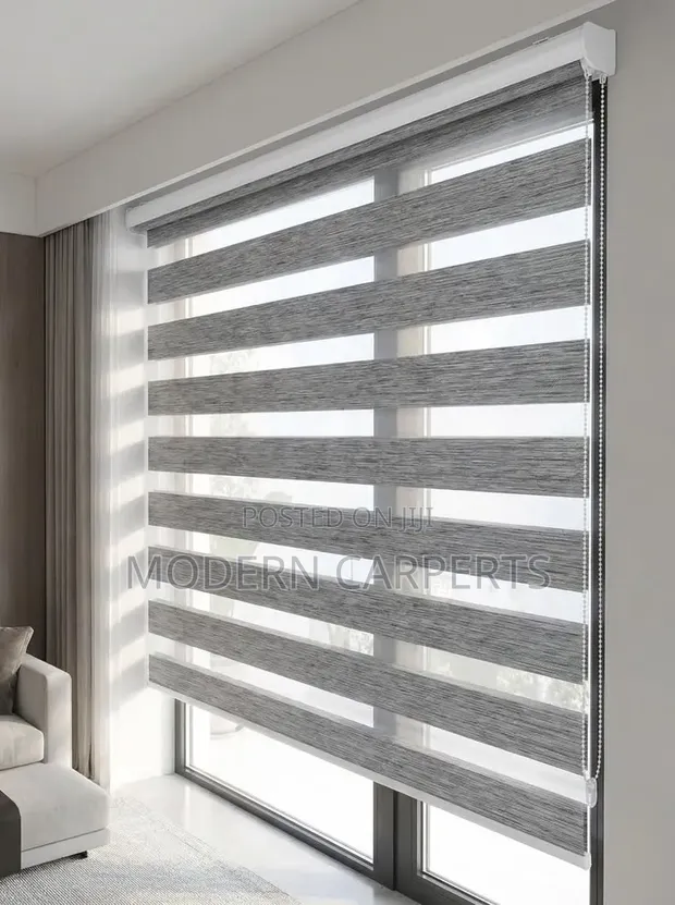 Hhtic Zebra Executive Blinds - 1