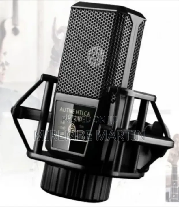 Autne HTLCA LGT 240 Professional Diaphragm Condenser Microphone - 1