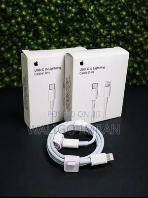 USB-C to iPhone Cable (1m, 85W)