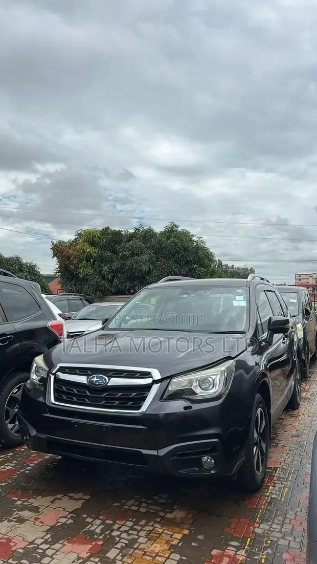 Subaru Forester 2017 Gray - 1