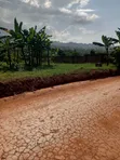 Prime Plot for Sale in Akright-Bwebajja - 1