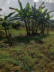 Prime Plot for Sale in Akright-Bwebajja - 2