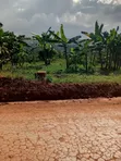 Prime Plot for Sale in Akright-Bwebajja - 3