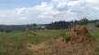 21 Acres Private Mailo Land in Namayumba - 2