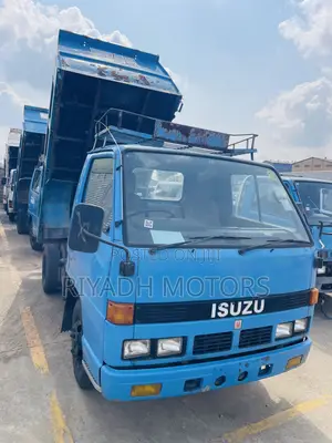 Isuzu Dumper Truck F Series