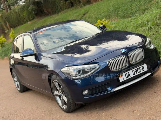 BMW 116i 2012 Blue - 1