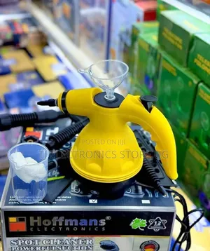 Haley Steam Cleaner - Brand New