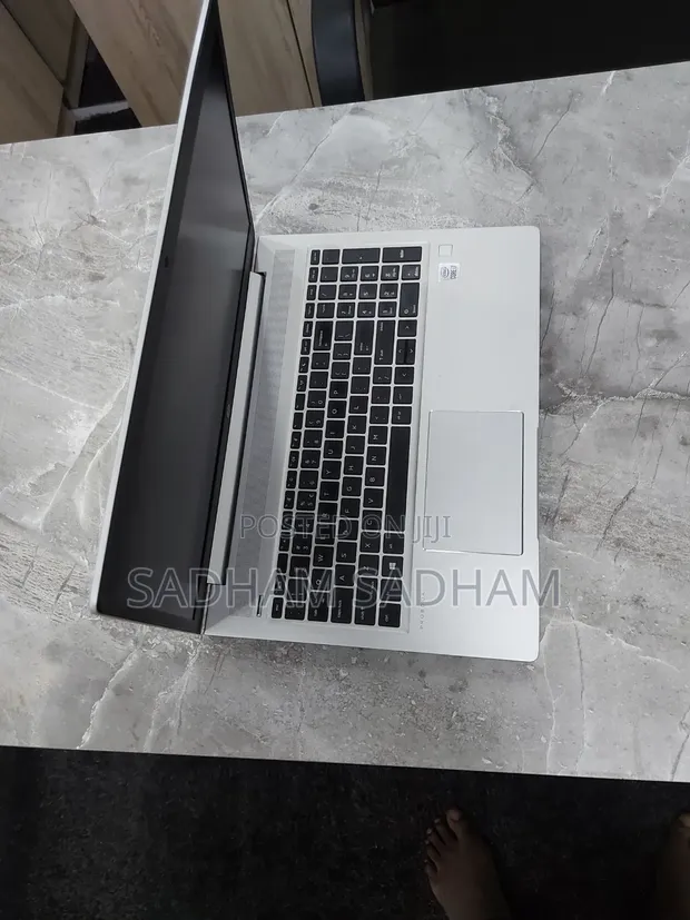 HP ProBook 450 G7 Laptop - Core i7, 8GB RAM, 256GB SSD - 1