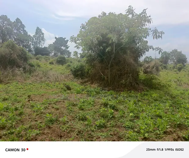 Farmland for Sale - Masaka Kasaka - 1