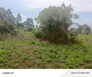 Farmland for Sale - Masaka Kasaka