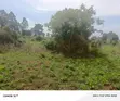 Farmland for Sale - Masaka Kasaka - 1