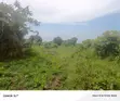 Farmland for Sale - Masaka Kasaka - 3