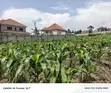 Residential Plot for Sale - Kira - 2