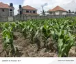Residential Plot for Sale - Kira - 3