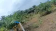 Palm Garden for Sale in Kizira, Kalangala District - 1