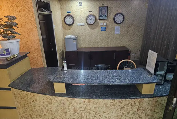 Black Galaxy Granite Countertops - 1
