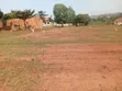 24 Plots for Sale in Kajjansi Makadwa - 3