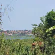 Lakeview Plots for Sale in Lutembe-Namulanda - 2