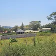 Lakeview Plots for Sale in Lutembe-Namulanda - 4