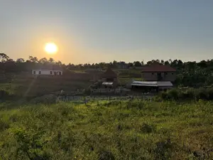 Plot for Quick Sale - Matugga