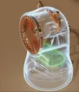 Whimsical Desktop Misting Fan and Humidifier - Multicolor - 2