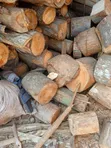 Wood and Timber for Sale - 1