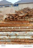 Wood and Timber for Sale - 4