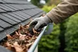 Gutter Cleaning Services - 1