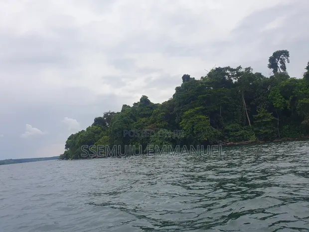 Island for Sale in Kalangala, Kyamuswa - 1